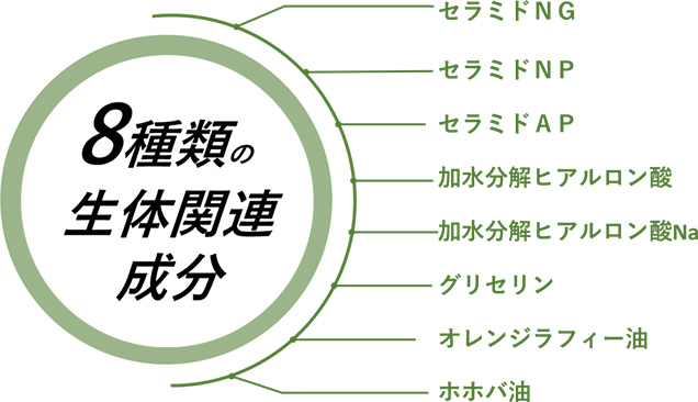 【８種類の生体関連成分】セラミドNG、セラミドNP、セラミドAP、加水分解ヒアルロン酸、加水分解ヒアルロン酸Na、グリセリン、オレンジラフィー油、ホホバ油