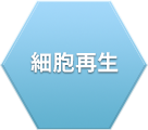 細胞再生
