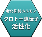 老化抑制ホルモンクロトー遺伝子活性化