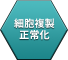 細胞複製正常化