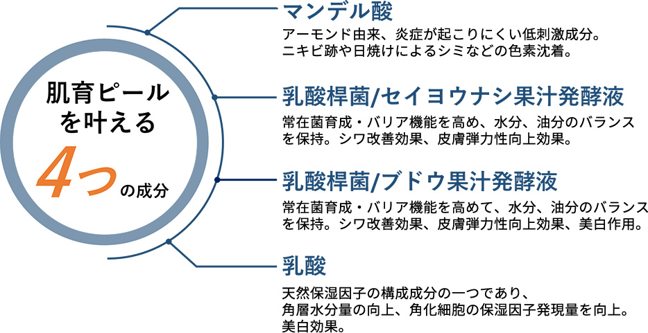 【肌育ピールを叶える４つの成分】マンデル酸、乳酸桿菌／西洋梨果汁発酵液、乳酸桿菌／ブドウ果汁発酵液、乳酸